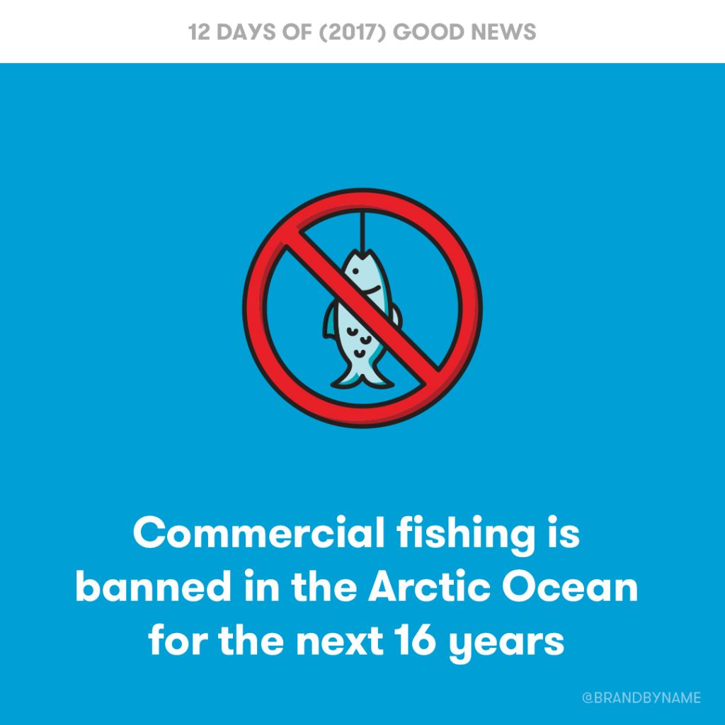 Commercial fishing is banned in the Arctic Ocean for the next 16 years