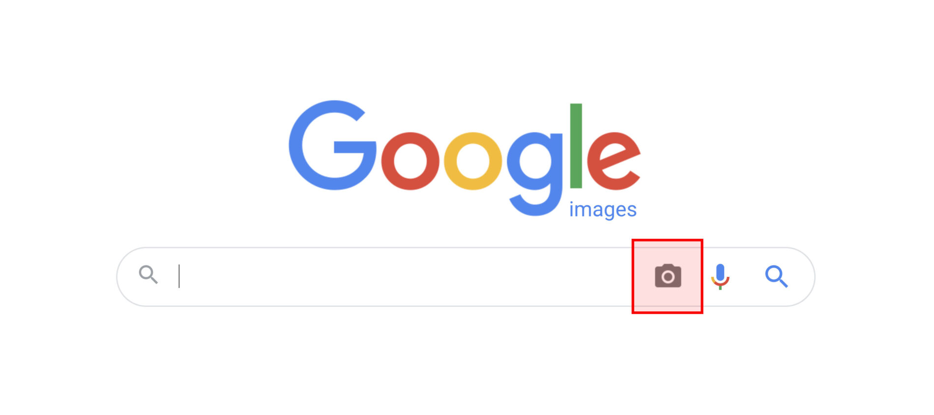 Screenshot of Google reverse Image Search