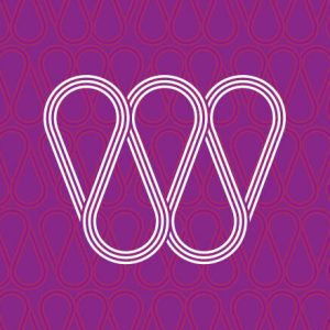 Link to Women on Board project